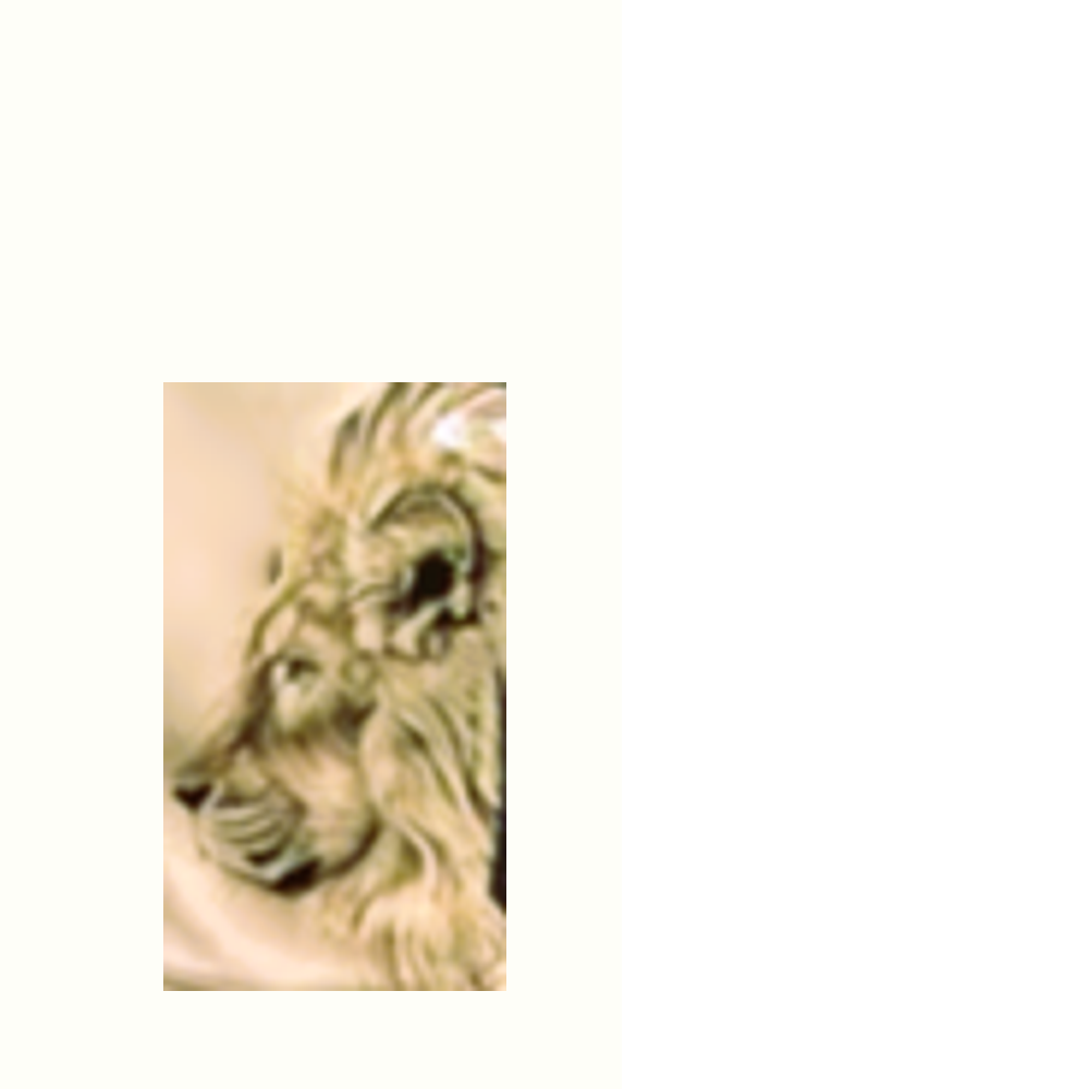 Image for color: weiß