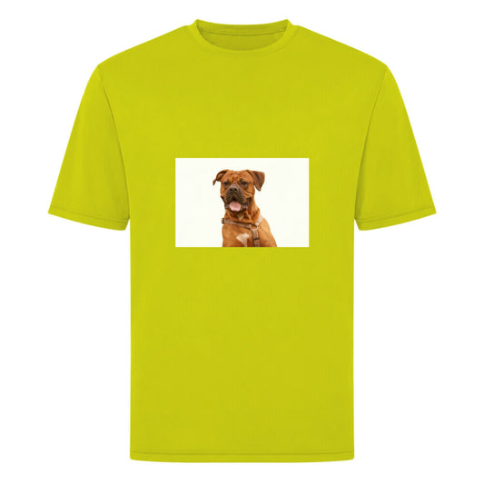 Image for color: gelb